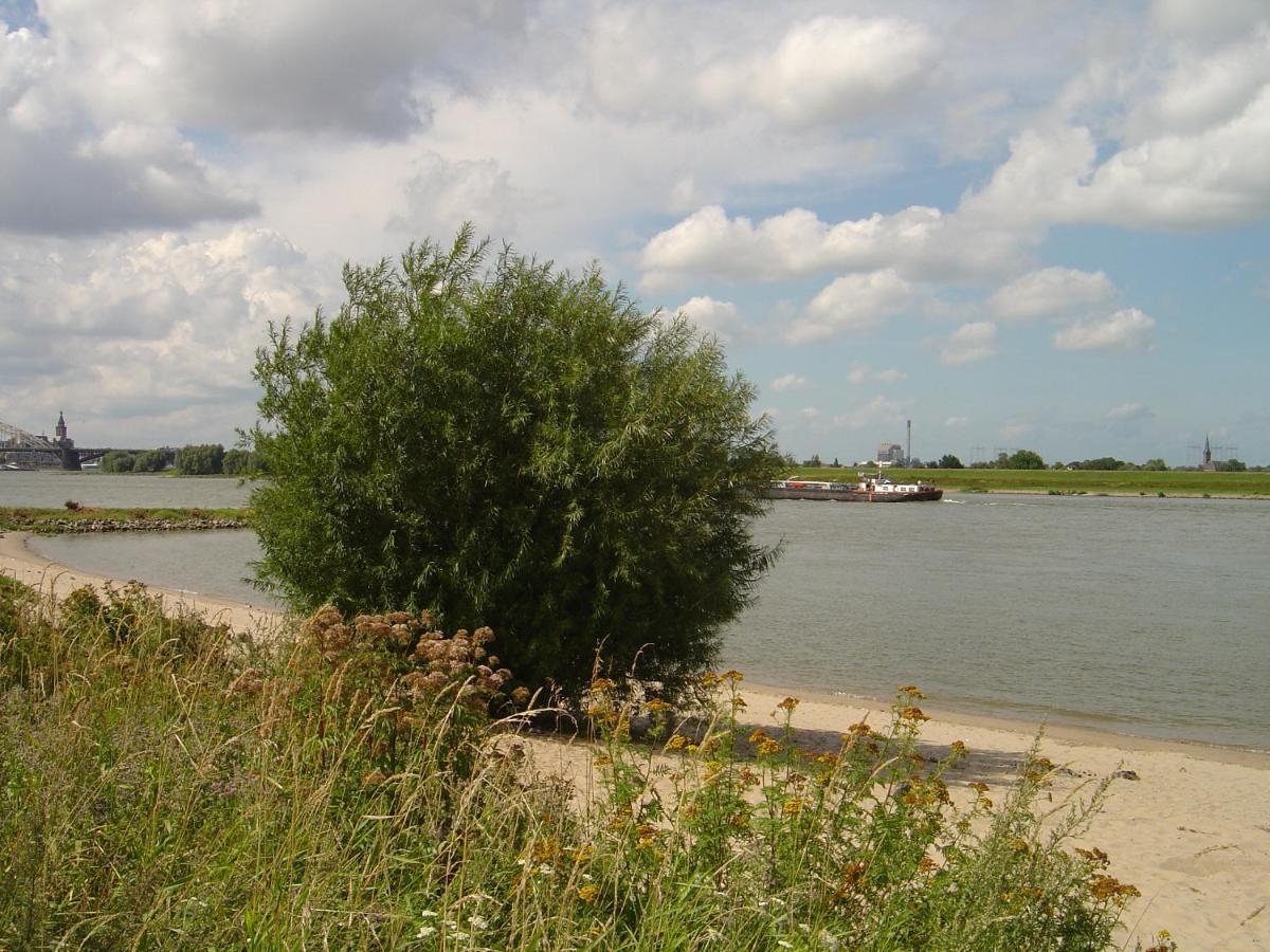 Roosje Van Ooy Ooij Exterior foto